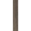 Piesa decorativa Norfolk Brown 6062, tip lemn, 20.4x120.4 cm, maro
