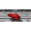 Piesa decorativa Viola Umbrella Red 3199, tip decor, 50x60 cm, rosu