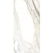 Gresie Ethernity Cream, model decor, 60x120 cm, crem, finisaj lucios