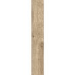Gresie rectificata Botanic Natural 6201, tip lemn, 20x120 cm, natural