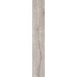 Gresie rectificata Botanic Grey 6202, tip lemn, 20x120 cm, gri