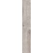 Gresie rectificata Botanic Grey 6202, tip lemn, 20x120 cm, gri