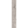 Gresie rectificata Botanic Grey 6202, tip lemn, 20x120 cm, gri
