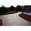 Pavele Uniloc 24,3x10,6x6 cm, culoare Gri