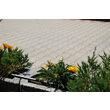 Pavele Behaton 19,8x16,3x10 cm, culoare Gri