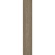 Piesa decorativa Norfolk Beige 6061, tip lemn, 20.4x120.4 cm, bej