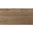 Faianta Delphi Wood tip lemn, 4859 25x50 cm, culoare maro