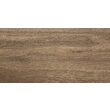 Faianta Delphi Wood tip lemn, 4859 25x50 cm, culoare maro
