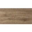 Faianta Delphi Wood tip lemn, 4859 25x50 cm, culoare maro