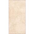 Gresie Parga Natural 9365, tip ciment, 30x60 cm, natural