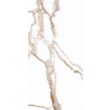 Gresie rectificata Orobianco White 6186, tip marmura, 30x60 cm, alb