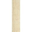 Gresie Canella Cream 8976 model lemn 15.5x60.5 cm, crem