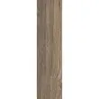 Gresie Jatoba tip lemn, 8984 15,5x60,5 cm, culoare maro