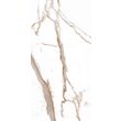 Gresie rectificata Orobianco White 6170, tip marmura, 60x120 cm, alb