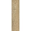Gresie Canella Brown 8975 model lemn tip parchet 15.5x60.5 cm, maro