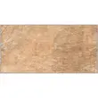 Gresie maro SPARTA 9368 model piatra 30x60 cm