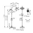 Set baterie cu dus fix si para mobila Algeo NP71-BAG7U FERRO
