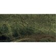 Gresie Rectificata Rain Forest 60X120 cm model marmura 55016859RN