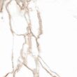 Gresie Rectificata Orobianco White 6162, tip marmura, 60x60 cm, alb