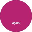 Vopsea alchidica superlucioasa pentru lemn si metal ROST SATIN interior / exterior VISINIU 4 L