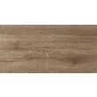 Piesa decorativa Delphi Wood Brown 4929, tip lemn, 25x50 cm, maro