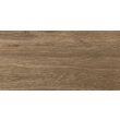 Piesa decorativa Delphi Wood Brown 4929, tip lemn, 25x50 cm, maro