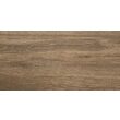 Piesa decorativa Delphi Wood Brown 4929, tip lemn, 25x50 cm, maro