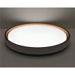 Plafoniera LED 6500K 410xH80mm 36W negru si auriu HZL-B55-3524S
