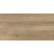 Gresie Canada, model lemn, 6060-0101, 60 x 30 cm, culoare maro, finisaj mat