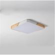 Plafoniera LED 6500K 500xH50mm 60W painting white HZL-G05-505048S