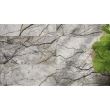 Gresie portelanata tip marmura River Grey 60x120 cm, 606272