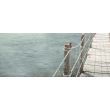 Piesa decorativa 2492 VIOLA DREAM 60x100 cm