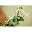 Suport scarita plante IDR1-S449