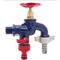 Robinet fonta dublu serviciu 1/2", cu doua iesiri, ION-RA12D