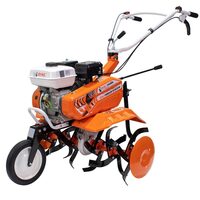 Motosapa semiprofesională Ruris DAC 7000K