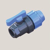 Robinet PE 40*1-1/4" F, PE-B40114F 8000555