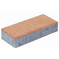 Pavele Civic, 20x10x4 cm, culoare Crem Sahara