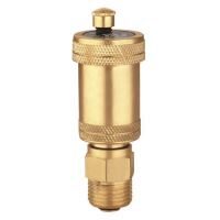 Aerisitor automat 1/2" FE EVERPRO EVP-AA12M/4