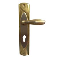 Broasca 70 butuc 4 chei Ø16.5 manere AURIU EVERPRO EVP-BC70/NI