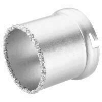 Carota wolfram VERTO