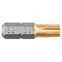 Set 2 biti TX30x25 mm GRAPHITE 57H976