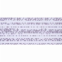 Piesa decorativa 2781 MANIA LILA 20x50 cm