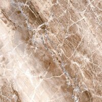 Gresie portelanata lucioasa Jasper Brown 33,3x33,3 cm, maro, cod 9850