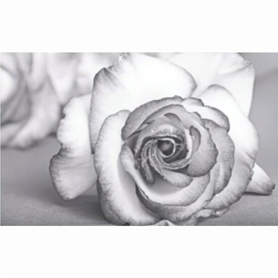 Piesa decorativa Viola Rose Anthracite 2595, tip decor, 60x100 cm, gri inchis