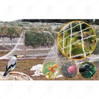 Plasa Protectie Anti-Pasari 6*75M/32539/13166100