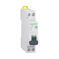 Siguranta automată b 32a 1P+n EZ9P32132