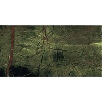 Gresie Rectificata Rain Forest 60X120 cm model marmura 55016859RN
