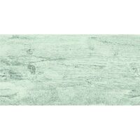 Gresie Fossil Grey 30.3x60.6 cm model lemn 9084A11