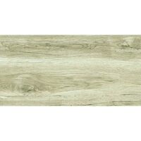Gresie Amadio Grey 30.3x60.6 cm model lemn 9057A11