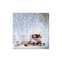 Perdea de Lumini LED,2X1M 210LED, inseriabil, alb rece DLF 210/WH